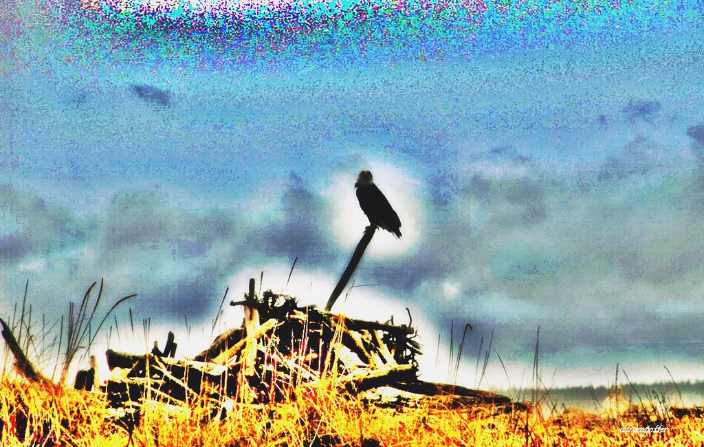 Wakonda